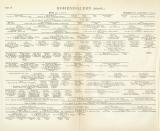 Hohenzollern Genealogie Tafel III. Buchdruck1898 Original der Zeit