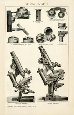 Mikroskop I. Holzstich 1891 Original der Zeit