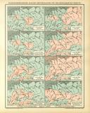 Paläogeographische Skizzen Deutschlands und der benachbarten Gebiete historische Bildtafel Lithographie ca. 1895