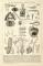 Schutzmittel der Tiere historische Bildtafel Holzstich ca. 1892