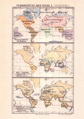 Verbreitung der Thiere I. Karte Lithographie 1890 Original der Zeit