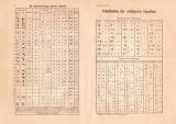 Schrifttafeln der wichtigsten Sprachen Buchdruck 1889 Original der Zeit
