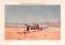 Luftspiegelungsgewässer in der Wüste Chromolithographie 1898 Original der Zeit