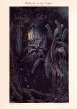 Mondnacht in den Tropen Chromolithographie 1898 Original...