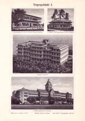 Tropen Gebäude I. - II. Holzstich 1898 Original der Zeit