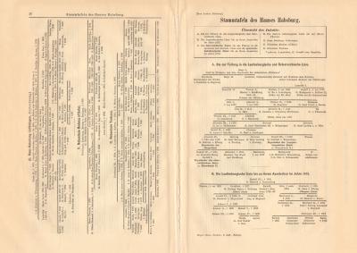 Stammtafeln des Hauses Habsburg historischer Buchdruck ca. 1904