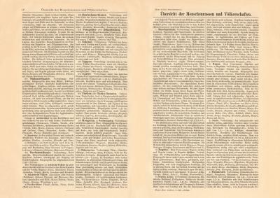 Übersicht Menschenrassen & Völker historischer Buchdruck ca. 1906