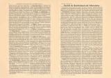 &Uuml;bersicht Menschenrassen &amp; V&ouml;lker historischer Buchdruck ca. 1906