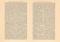 &Uuml;bersicht Menschenrassen &amp; V&ouml;lker historischer Buchdruck ca. 1906