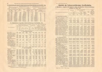 Statistik der Lebensversicherungs Gesellschaften historischer Buchdruck ca. 1905