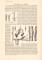 Veredelung der Geh&ouml;lze historischer Druck Holzstich ca. 1908