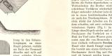 Torfgewinnung historischer Druck Holzstich ca. 1908