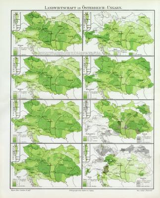 Österreich Ungarn Landwirtschaft historische Landkarte Lithographie ca. 1908