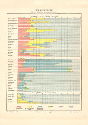 Nahrungsmittel chemische Zusammensetzung historischer Druck Lithographie ca. 1906