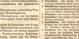 &Uuml;bersicht des Pflanzenreichs historischer Buchdruck ca. 1910