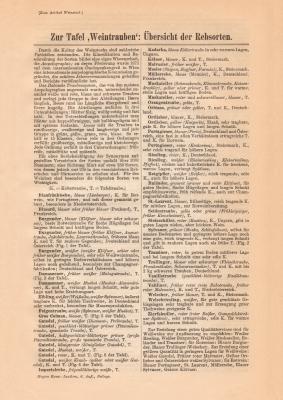 &Uuml;bersicht der Rebsorten historischer Buchdruck ca. 1908