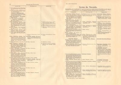 System des Tierreichs historischer Buchdruck ca. 1912