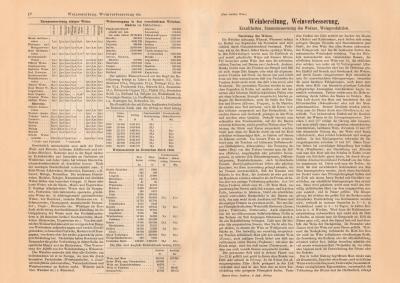 Weinbereitung Weinverbesserung historischer Buchdruck ca. 1908