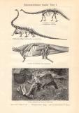 Rekonstruktionen fossiler Tiere I. + II. historischer Druck Holzstich ca. 1910