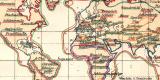 Verbreitung der V&ouml;gel III. historische Landkarte Lithographie ca. 1908