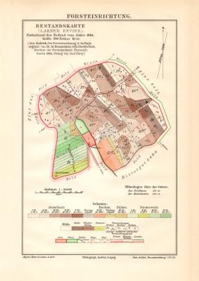 Forsteinrichtung Bestandkarte Lahner Revier historische Landkarte Lithographie ca. 1910