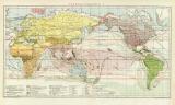Tiergeographie I. historische Landkarte Lithographie ca. 1892