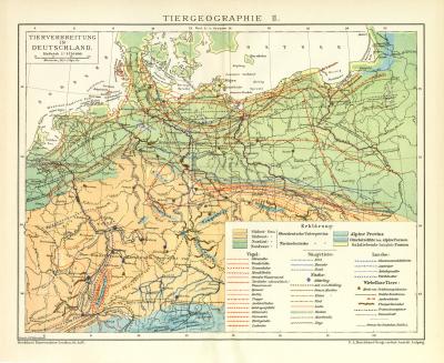 Tiergeographie II. Tierverbreitung in Deutschland historische Landkarte Lithographie ca. 1892