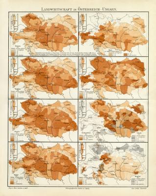 Österreich Ungarn Landwirtschaft historische Landkarte Lithographie ca. 1908