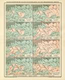 Paläogeographische Skizzen Deutschlands und der benachbarten Gebiete historische Bildtafel Lithographie ca. 1904
