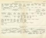 Hohenzollern Genealogie Tafel III. - IV. historische Bildtafel Holzstich ca. 1899
