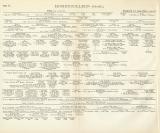Hohenzollern Genealogie Tafel III. - IV. historische Bildtafel Holzstich ca. 1899