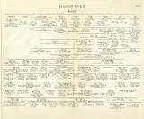 Habsburger Genealogie Tafel I.-II. Tafel Buchdruck ca. 1898