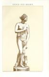 Venus von Medici historische Bildtafel Chromolithographie ca. 1902