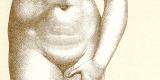 Venus von Medici historische Bildtafel Chromolithographie...