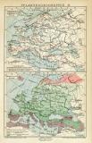 Pflanzengeographie II. historische Landkarte Lithographie...