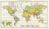 Pflanzengeographie I. historische Landkarte Lithographie...