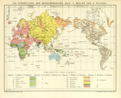 Menschenrassen Welt Karte Lithographie 1909 Original der Zeit